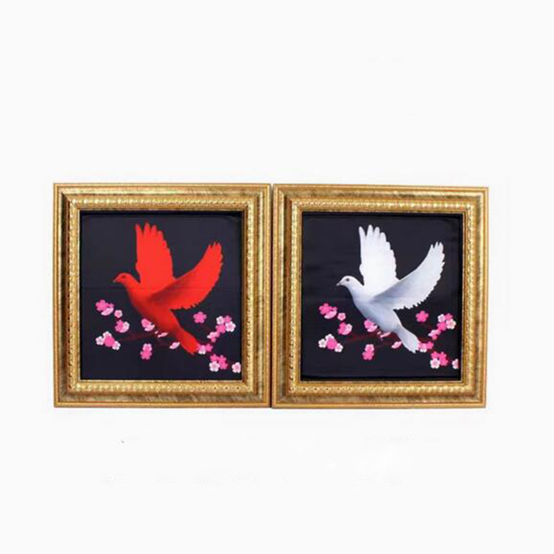 Deluxe Dove Frame Magic Tricks - Photography Trick 评论和价格