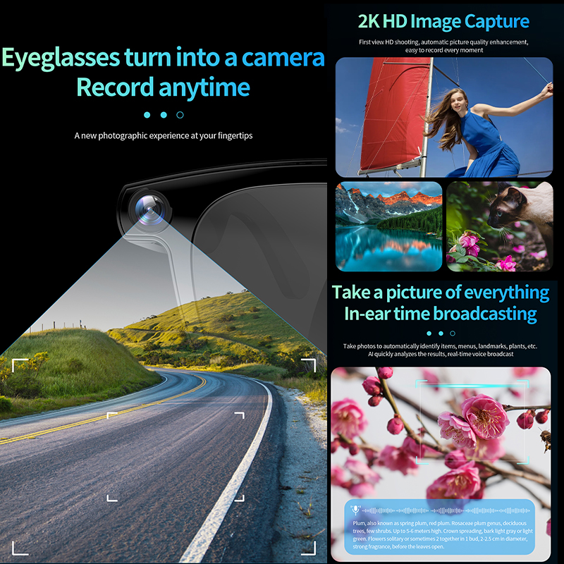 2026 Smart Glasses 800W Camera - Photography Japanese 评论和价格