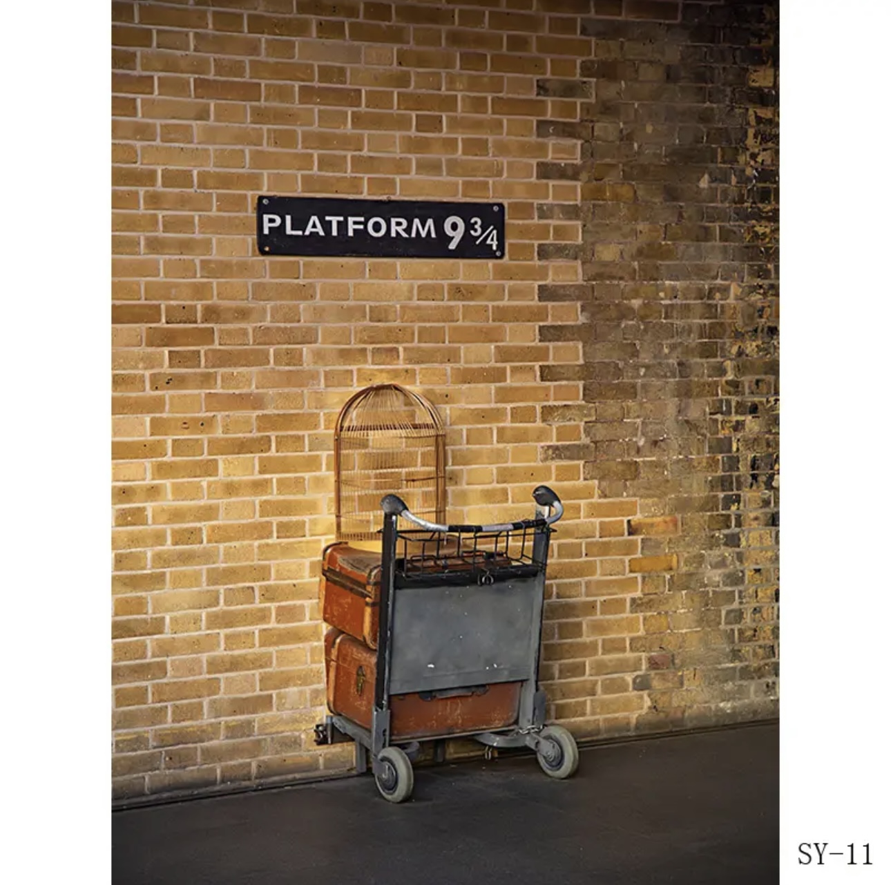 Platform 9 3/4 King railway St - Photography Trick 评论和价格