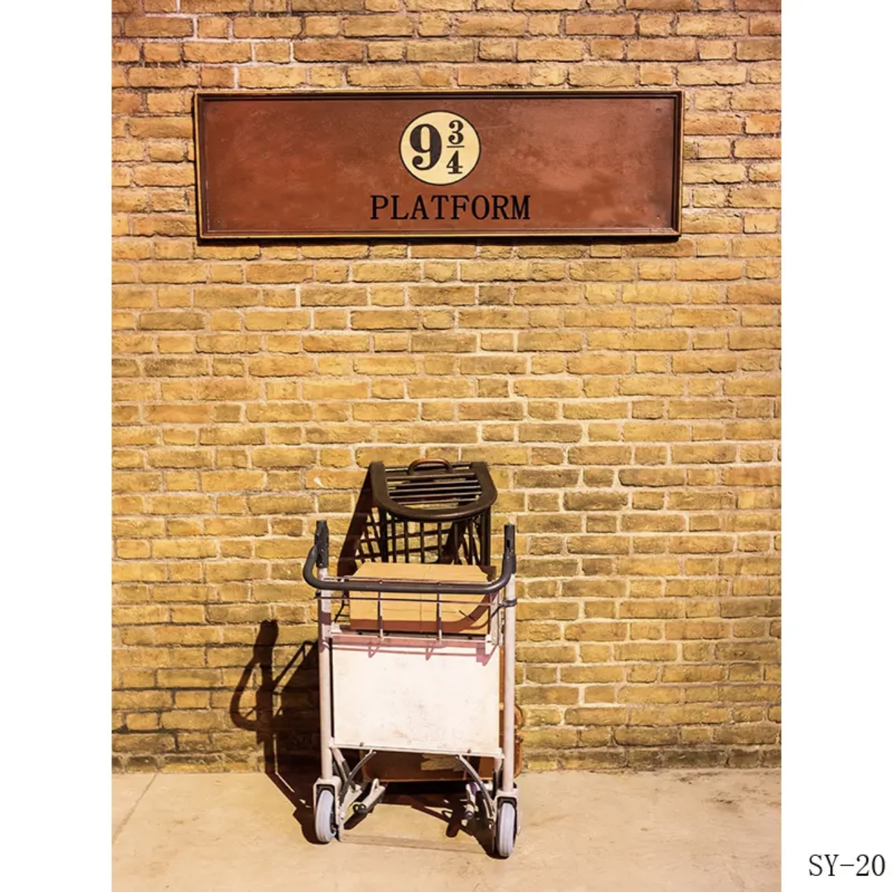 Platform 9 3/4 King railway St - Photography Trick 评论和价格