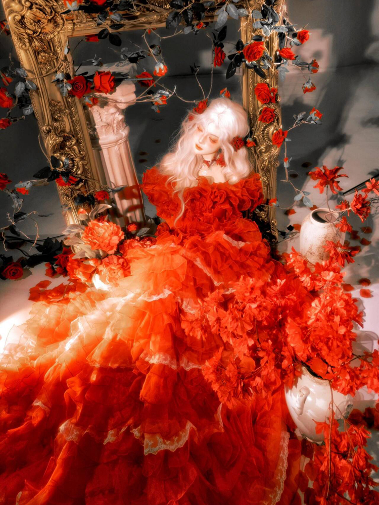 Retro Baroque Style Red Dress  - Photography Young 评论和价格
